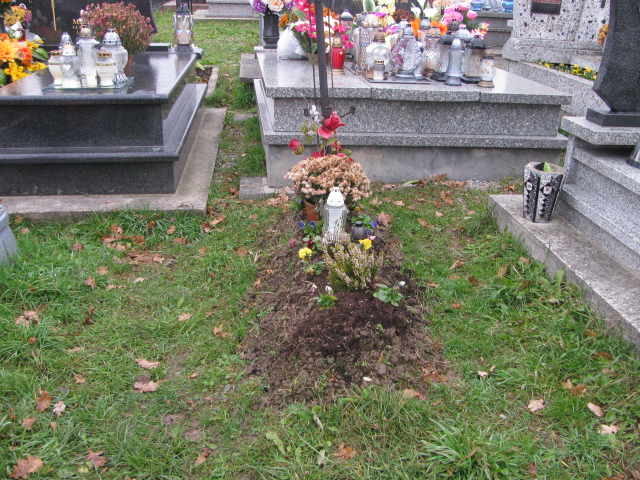  NN Frydrychowice - Grobonet - Wyszukiwarka osób pochowanych